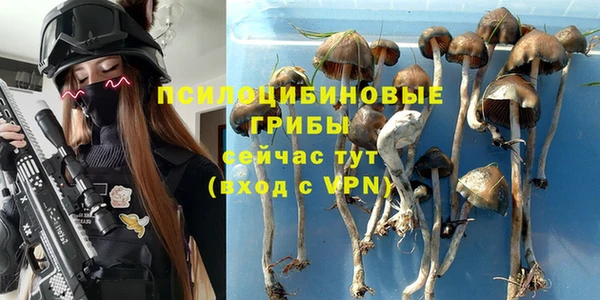 спиды Абинск