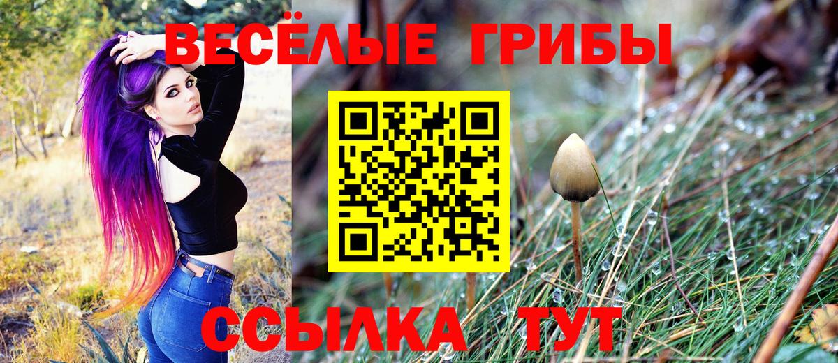 Псилоцибиновые грибы Psilocybe Комсомольск-на-Амуре