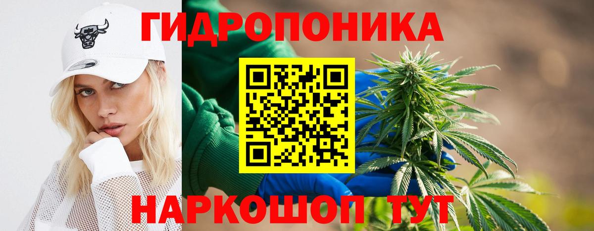 Конопля Ganja  МАРИХУАНА планчик  Комсомольск-на-Амуре  Вход с VPN 